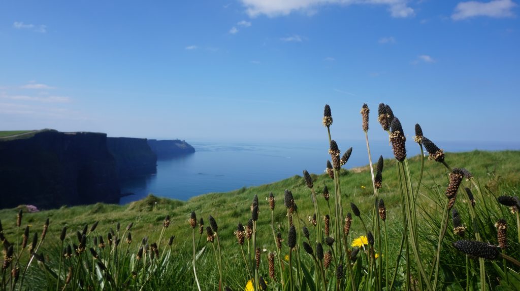 Wild Rover Tours: Cliffs of Moher, Galway City